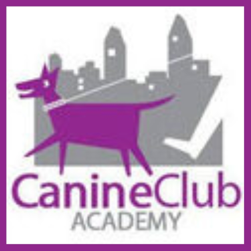 Canine Club Academy partner with Focused Choice Dog Training LLC Lynchburg, Virginia