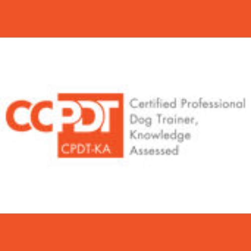 Certified Professional Dog Traininer CCPDT Focused Choice Dog Training LLC Lynchburg, Virginia