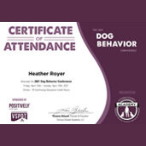 Dog Behavior Certificate Focused Choice Dog Training