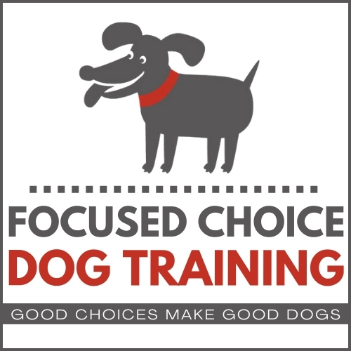 Focused Choice Dog Training Square Logo Lynchburg, VA