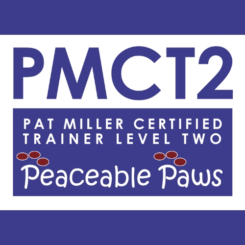 Pat Milller Certified Trainer level 2 partner Focused Choice Dog Training