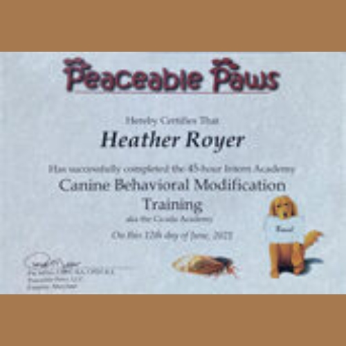 Peaceable Paws Behavior Modification Training